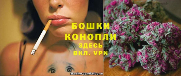 трава Алзамай